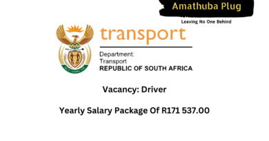 The Department Of Transport (Gauteng) Is Looking For A Driver: The Job Will Pay A Yearly Salary Package Of R171 537.00