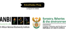 Multiple Work Integrated Learning Programmes at The South African National Biodiversity Institute (SANBI) in Partnership with The Department of Forestry, Fisheries and the Environment (DFFE)