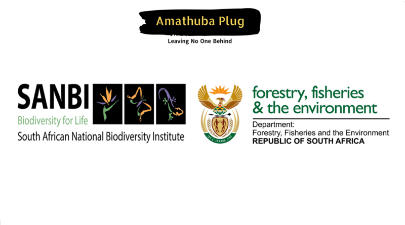 Multiple Work Integrated Learning Programmes at The South African National Biodiversity Institute (SANBI) in Partnership with The Department of Forestry, Fisheries and the Environment (DFFE)