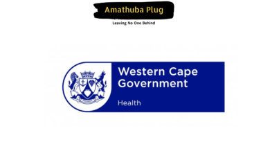 Western Cape Department of Health and Wellness is Hiring for Multiple Positions Including Grade 9 Jobs