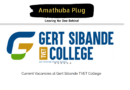 Gert Sibande TVET College is Hiring For Three(3) Entry Level And Highly Paid Jobs