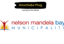 Earn R368 808 – R512 736 Per Annum As An Assistant Librarian At The Nelson Mandela Bay Local Municipality