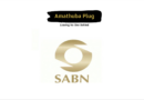 The South African Bank Note Company is Looking For A Canteen Cleaner