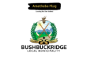 Sixty (60) EPWP Skills Programs At Bushbuckridge Local Municipality