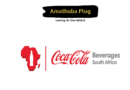 Work At Coca-Cola Beverages South Africa (CCBSA) As A Preseller Merchandiser