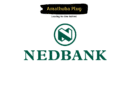 Nedbank Corporate and Investment banking (NCIB) Young Analyst Programme