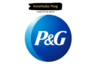 Procter & Gamble South Africa Quality Assurance Internship Programme