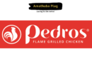 Pedros Chicken SPARKS Graduate Internship - IT: Join SA's Fastest Chicken Franchise