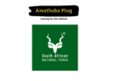 South African National Parks (SANParks) Internships (Two Positions): Monthly Stipend of R6030.70