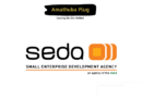Earn R 431 426 - R 507 560 Per Year As An Officer: Web Administration At The Small Enterprise Development Agency (SEDA)