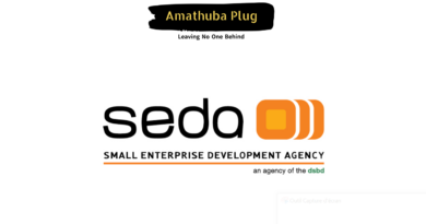 Earn R 431 426 - R 507 560 Per Year As An Officer: Web Administration At The Small Enterprise Development Agency (SEDA)