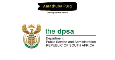 Circular 24 of 2024: Apply To Various Government Jobs Published By The Department of Public Service and Administration(DPSA)