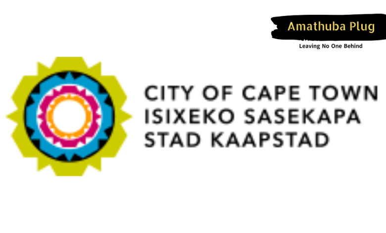 City of Cape Town Bursary Programme: External Financial Support for Students in Scarce Skills Fields