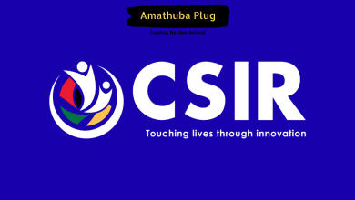 CSIR DSTI Inter-Programme Bursary Scheme 2027