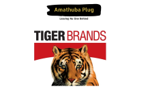 Tiger Brands 12 Months Workplace Experience Student Programme (HPC Marketing) 2026