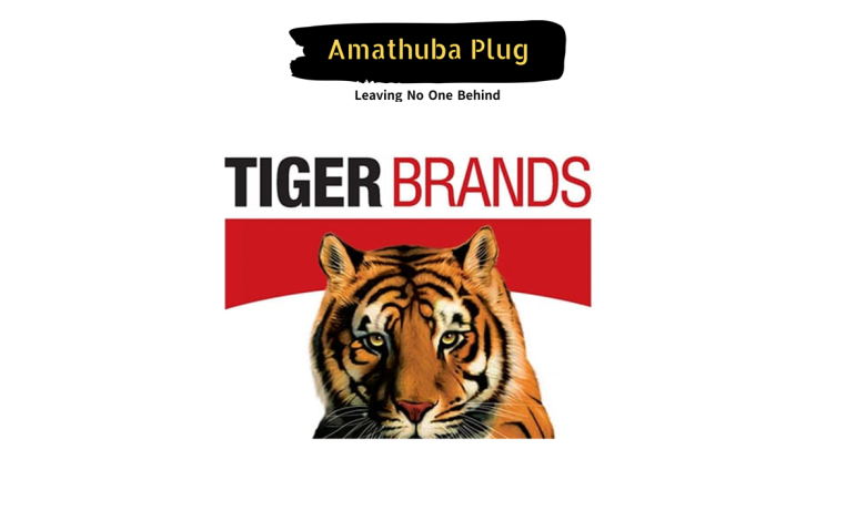 Tiger Brands 12 Months Workplace Experience Student Programme (HPC Marketing) 2026