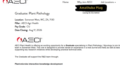 Graduate Plant Pathology Job in Somerset West: AECI Plant Health Is Hiring a Science Graduate for 2026